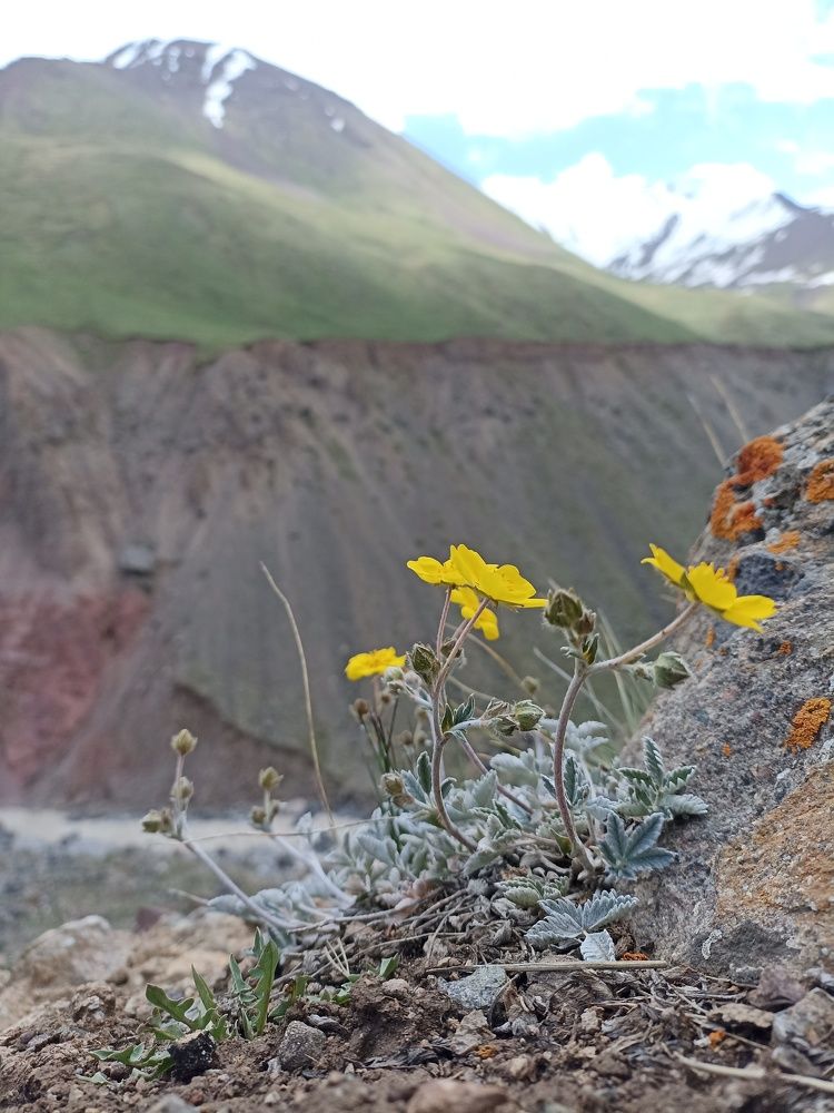 Фотография автора Natalya Firsova