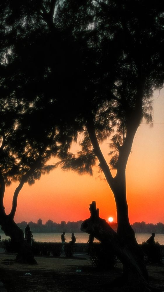 Фотография автора Mennatullah Dakhly