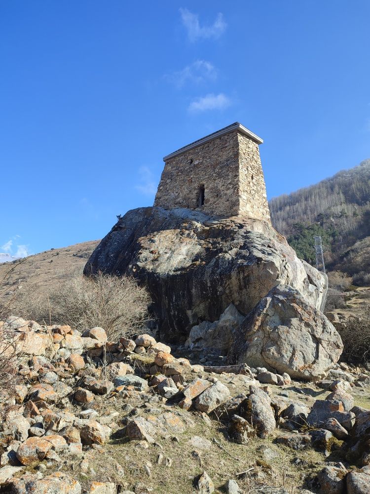 Фотография автора Таня Долгушева