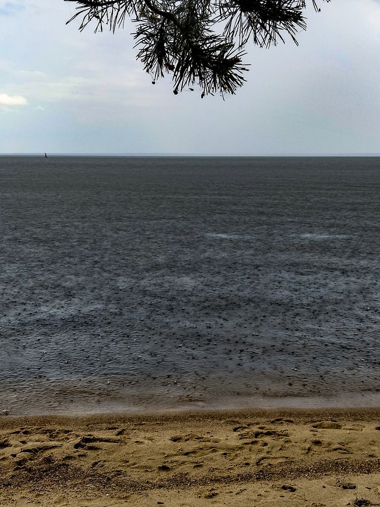 Photograph by Зыкова Мария