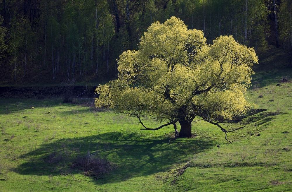 Photograph by Сергей Матус