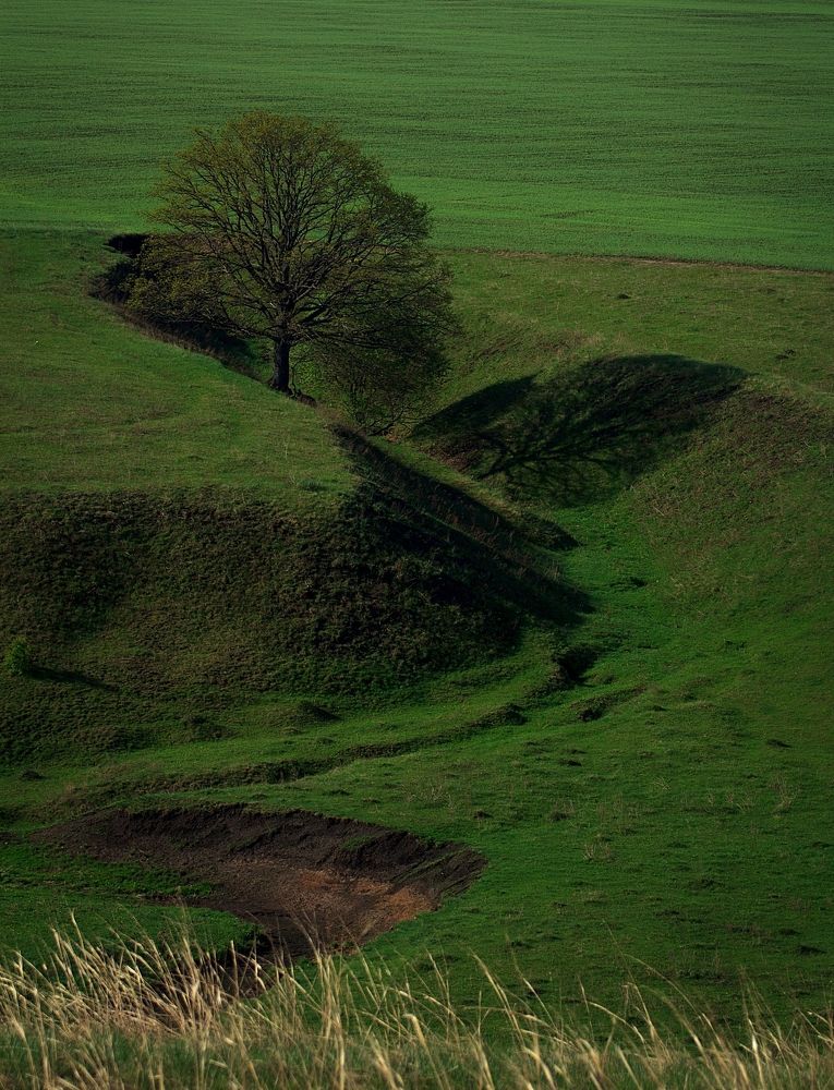 Photograph by Сергей Матус