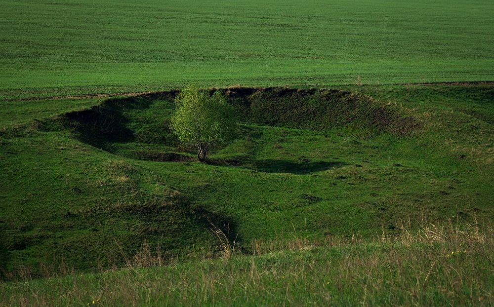 Photograph by Сергей Матус