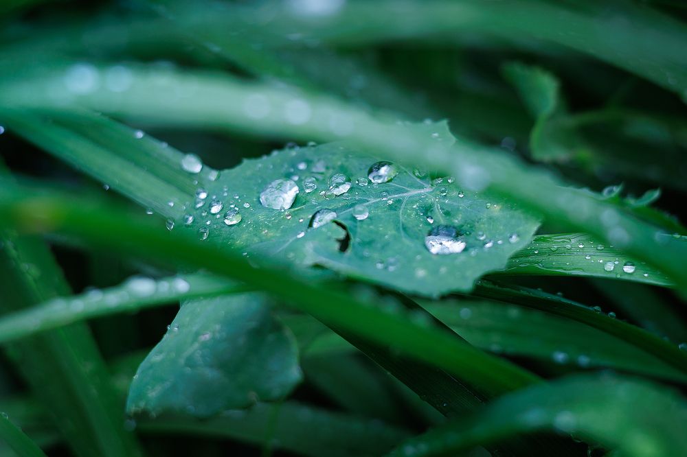 Photograph by Anastasia Sokolskya