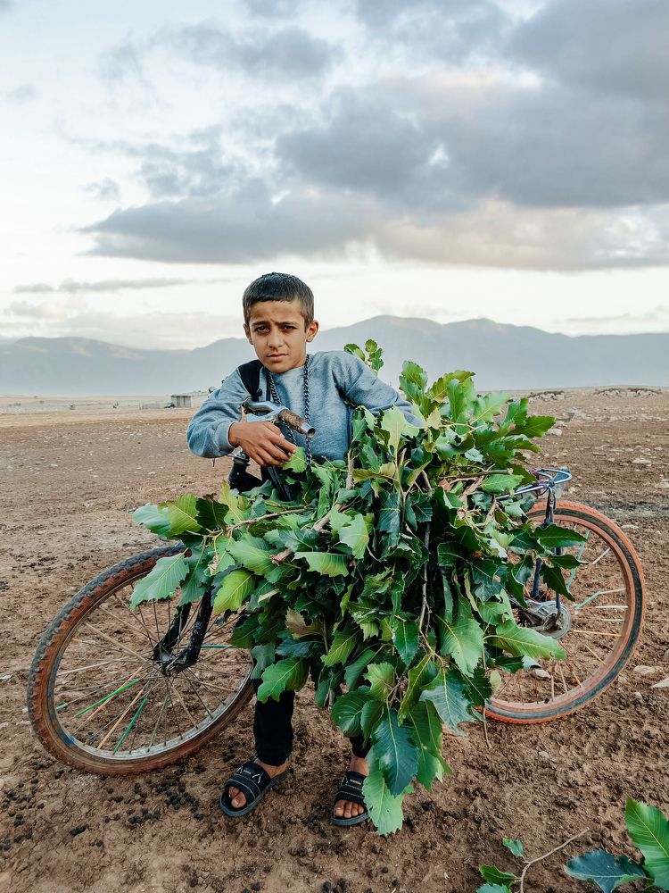 Photograph by iamrawareus