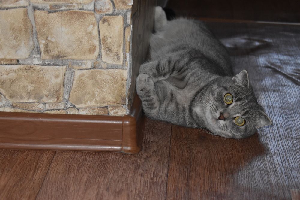 Photograph by Ирина Корнева