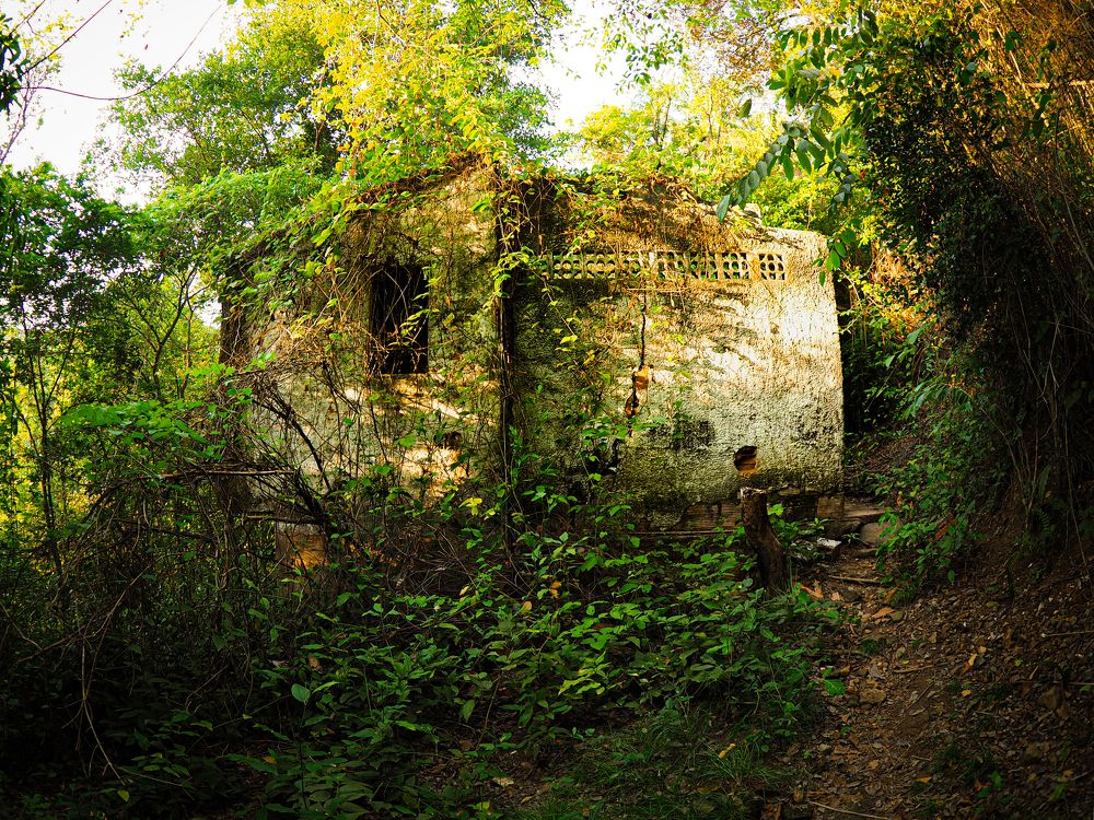 Фотография автора Camilo Rojas