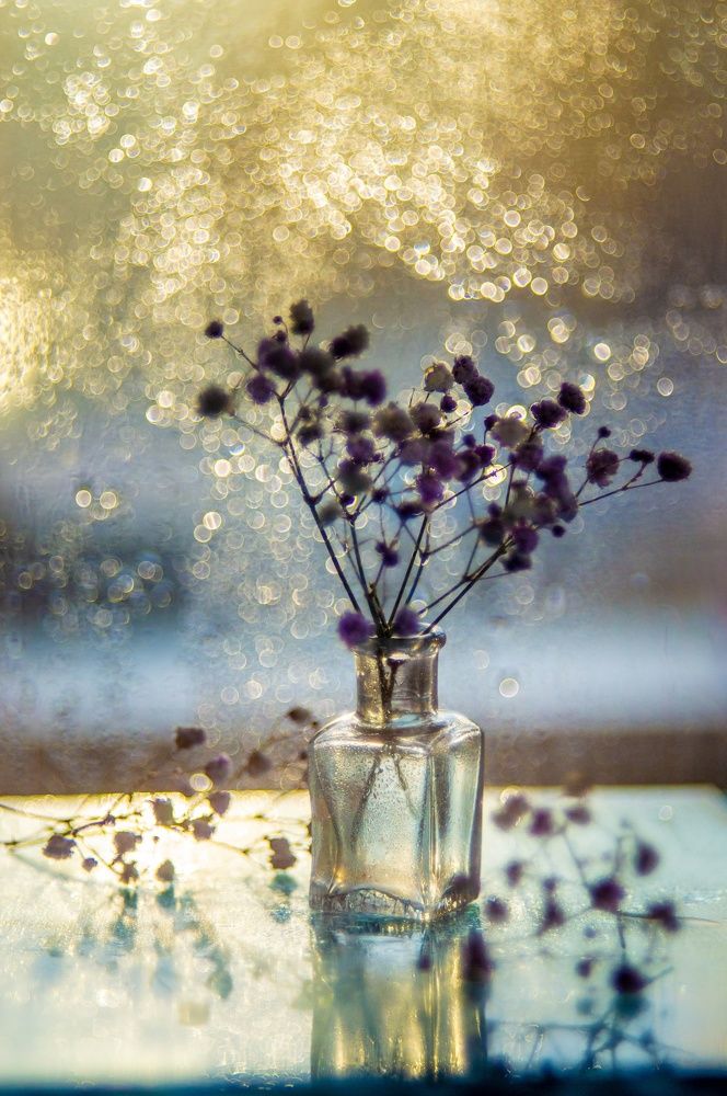 Photograph by Анастасия