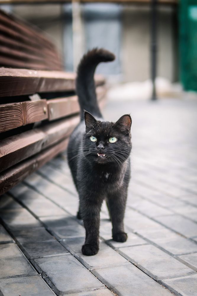 Photograph by Иван Кузнецов