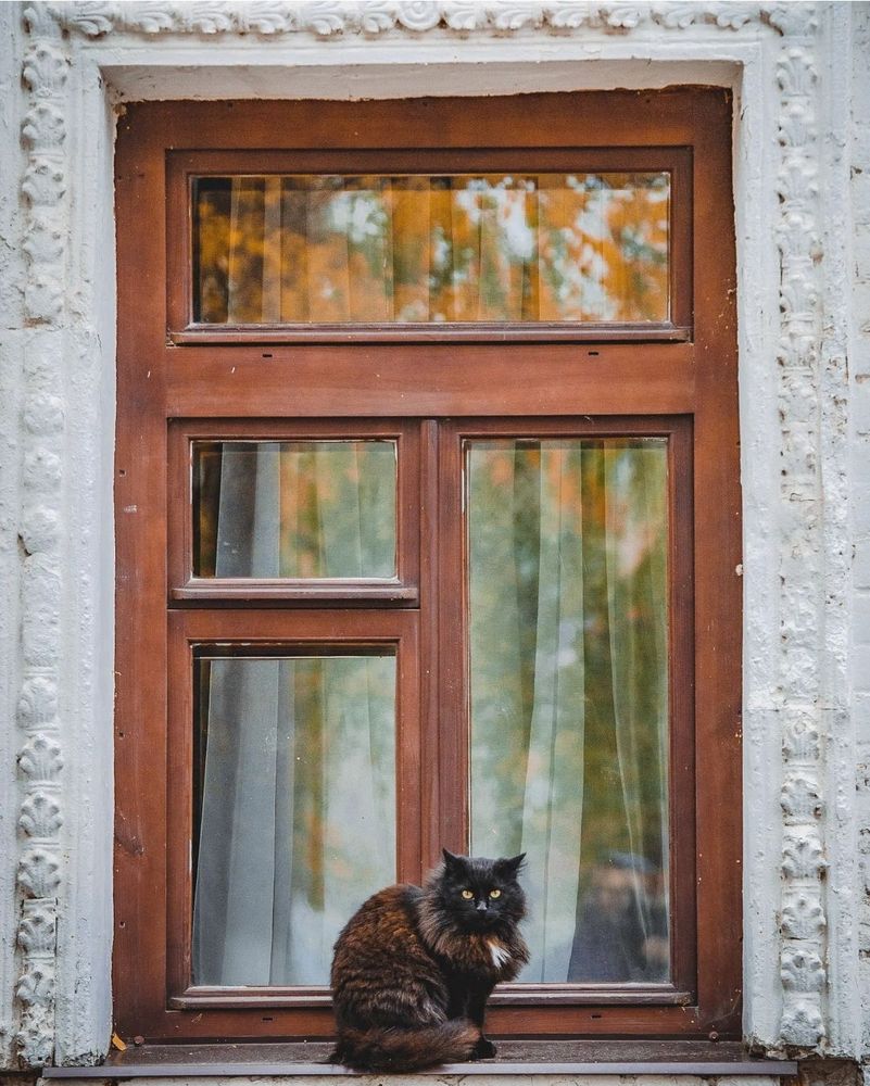 Photograph by Angelina Bukina