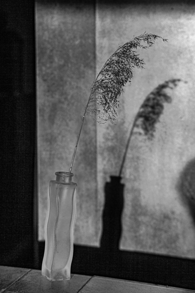 Photograph by Сагдиева Эльвира