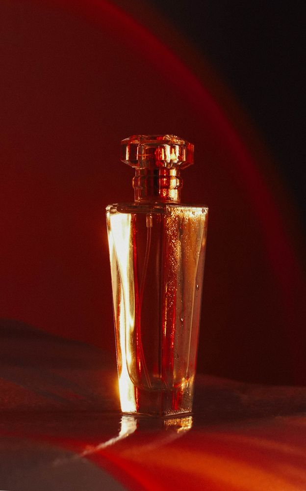 Фотография автора KattyFox