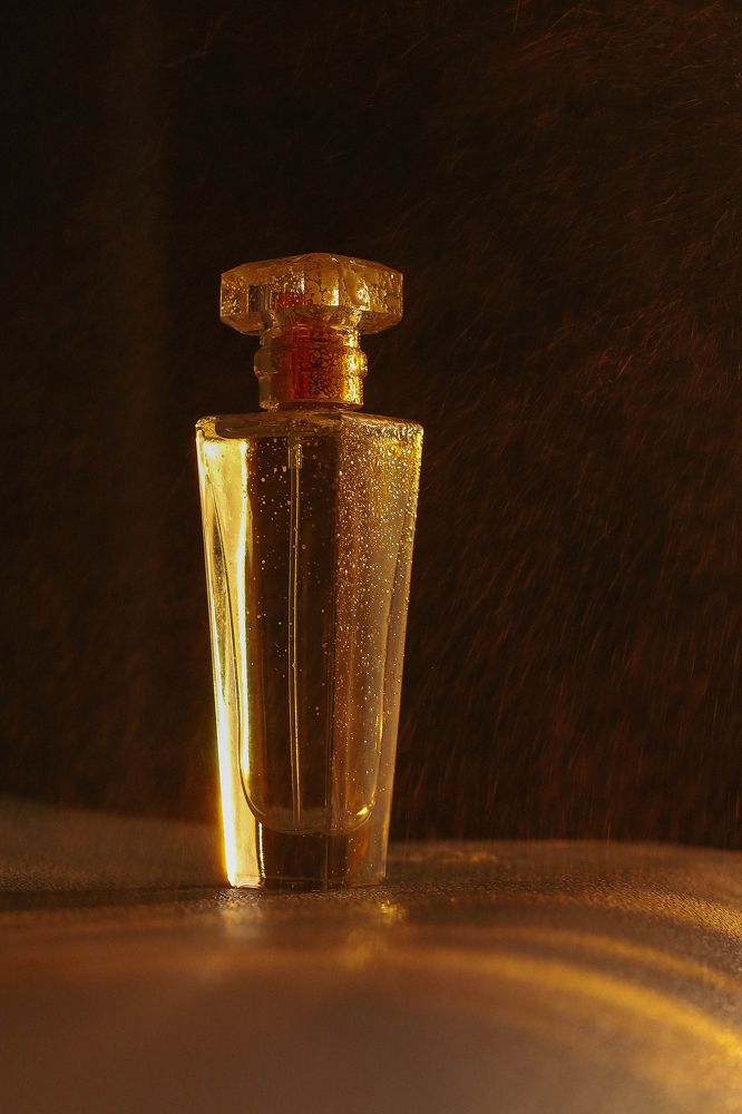 Фотография автора KattyFox