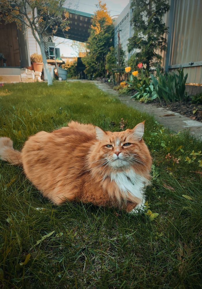 Photograph by Марина