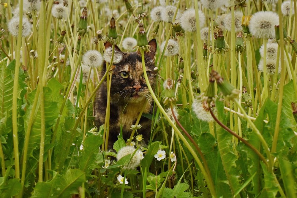 Photograph by Роман Пацкевич