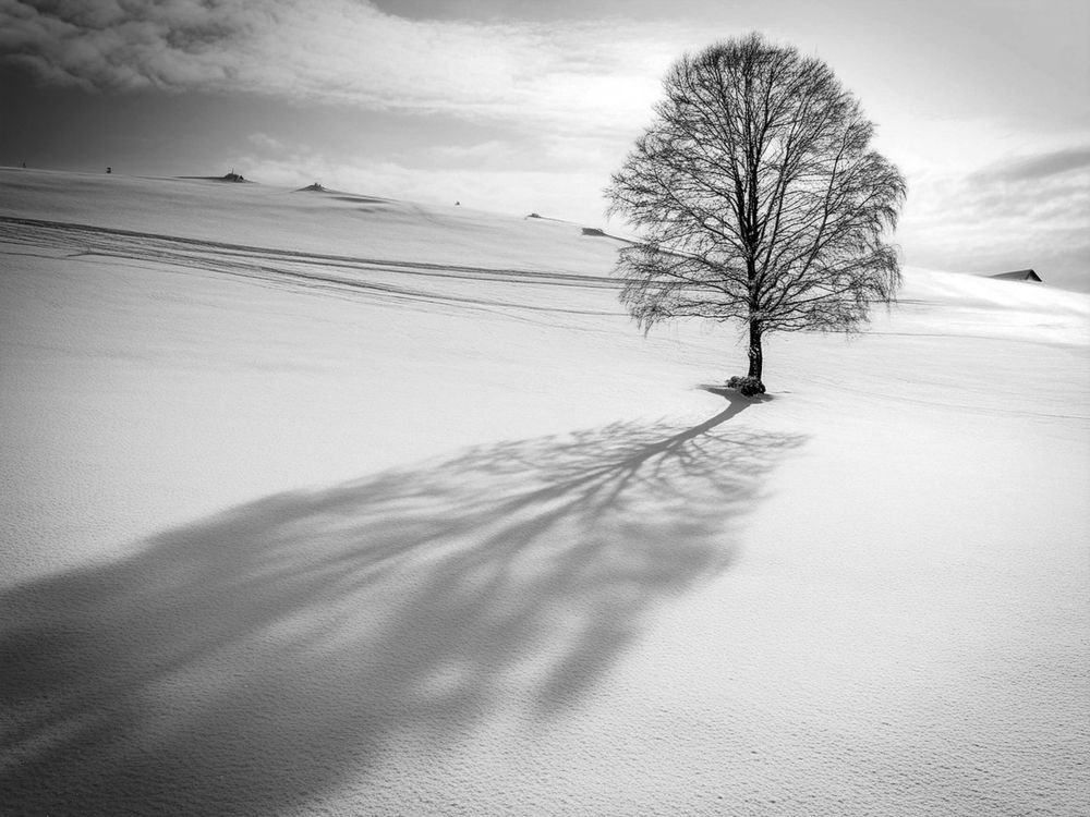 Photograph by Michael Cheung