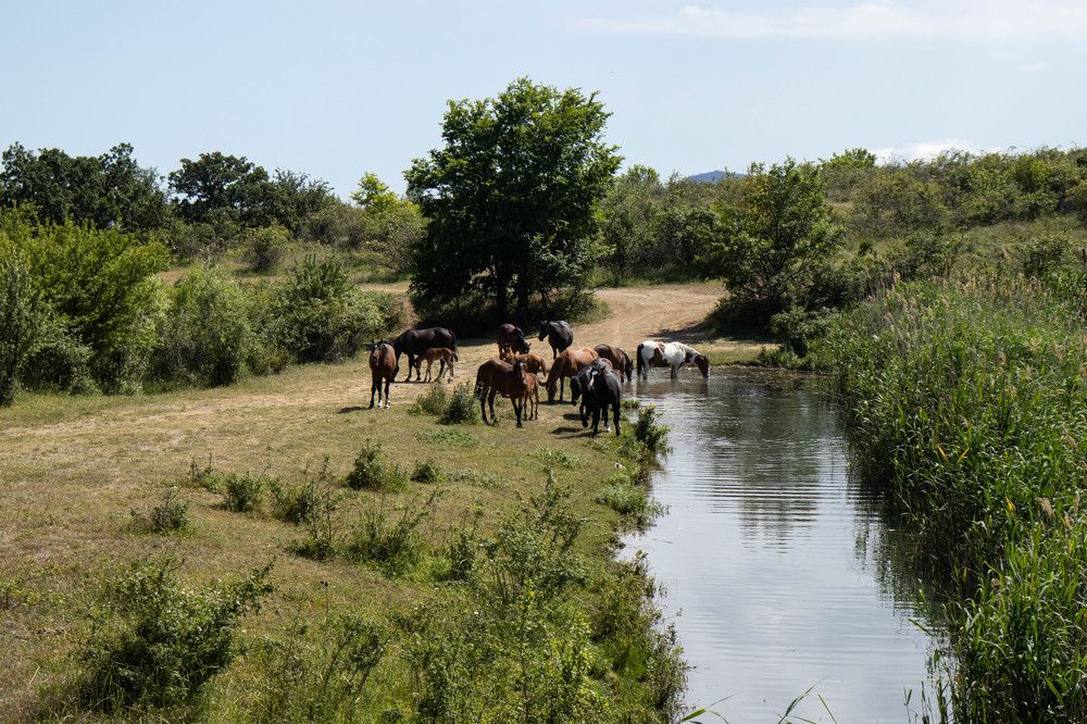 Photograph by Альфия Хабирова