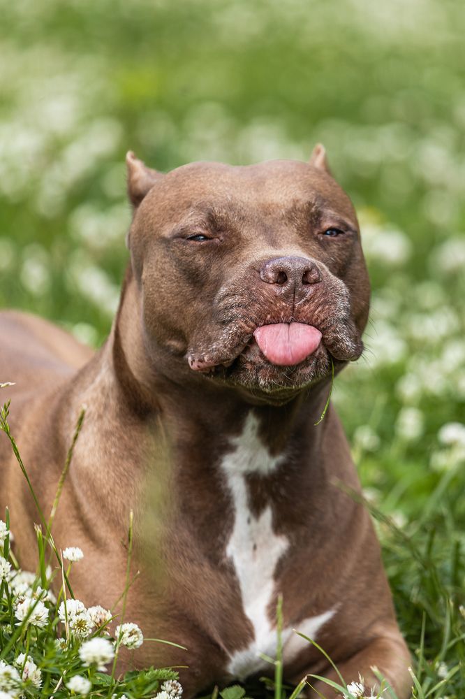 Photograph by Aleksei Kazakov