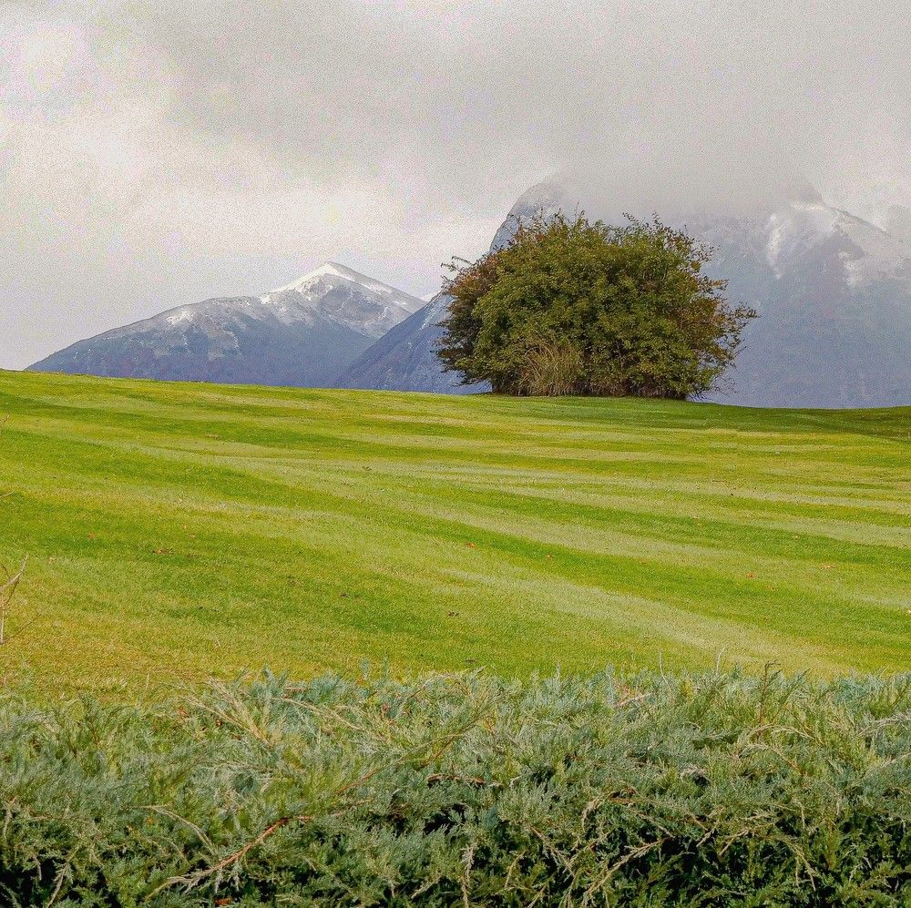 Photograph by HECTOR ANTONIO RAUCHS