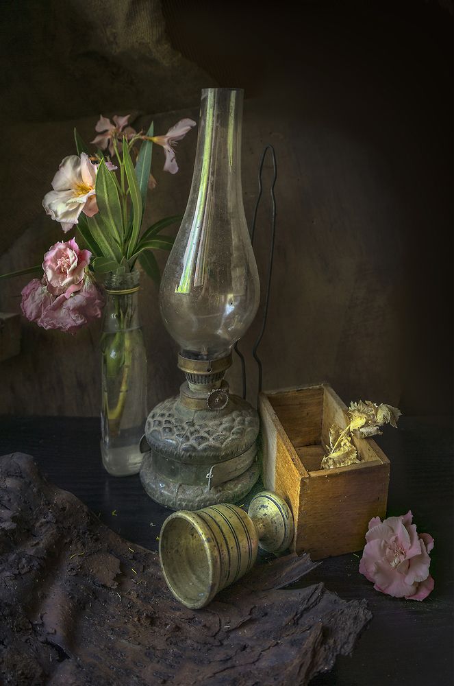 Фотография автора Milena Ivanova