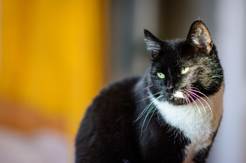 Photograph by Елена Берсенёва