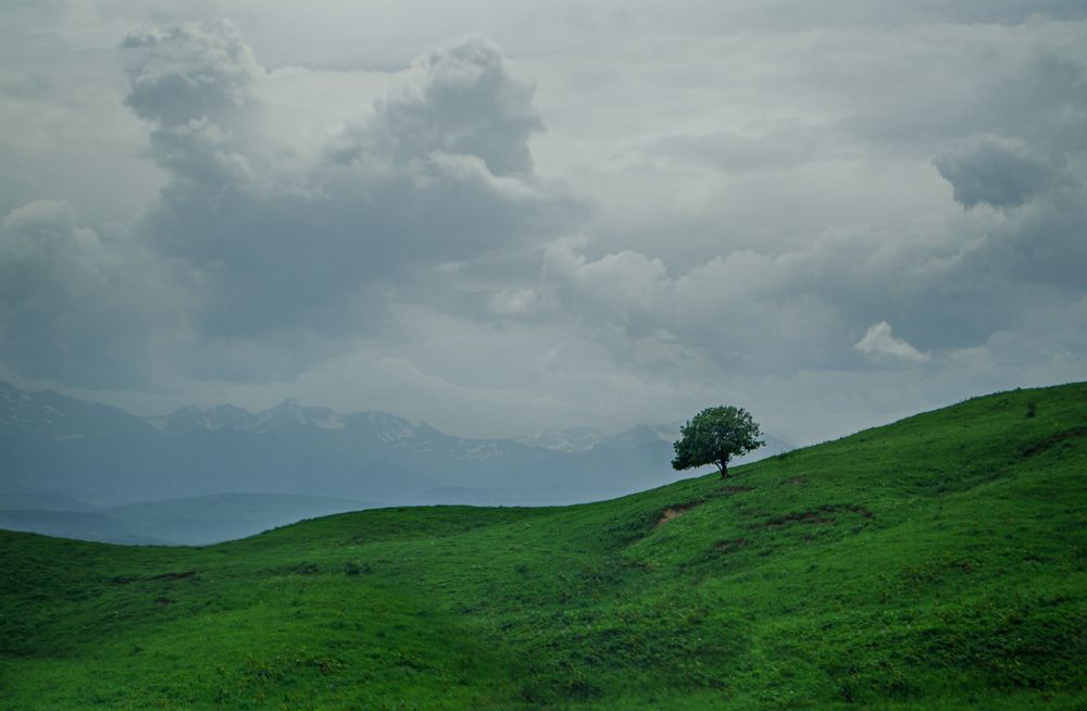 Photograph by Анна