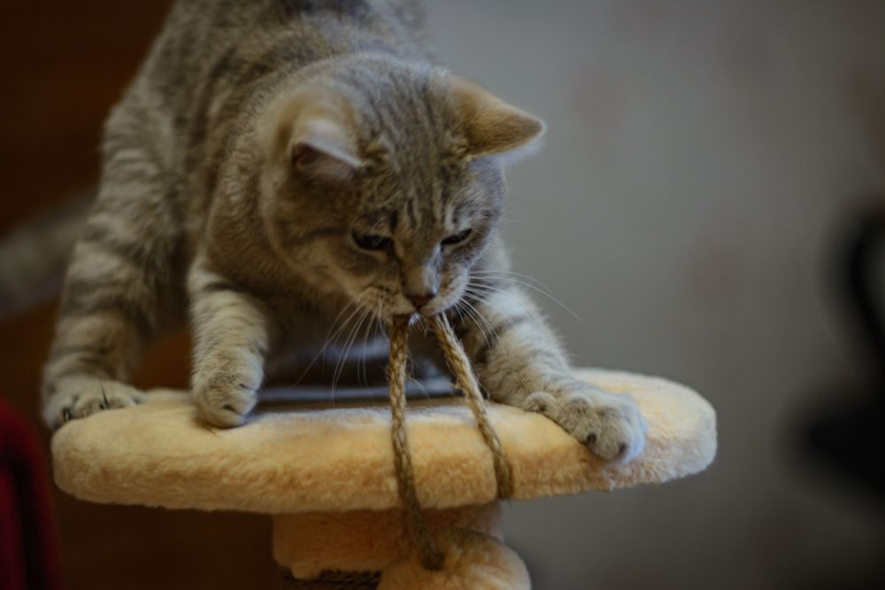 Photograph by Елена Берсенёва