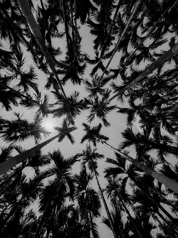 Photograph by Sai Bhaskar