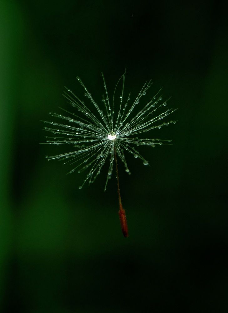 Невесомость