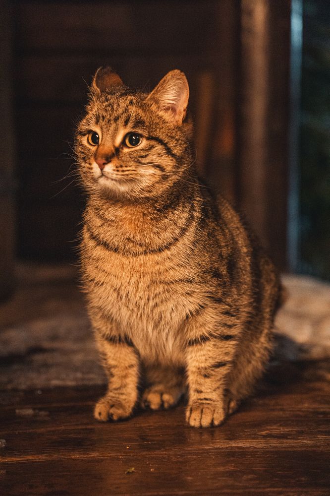 Photograph by Андрей Гусаров