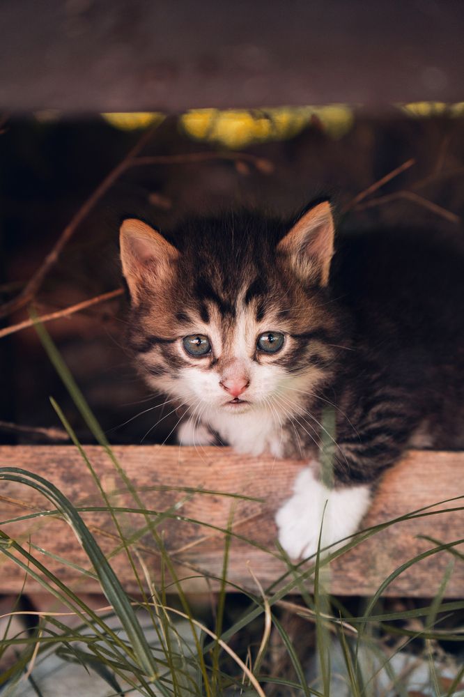 Photograph by Андрей Гусаров