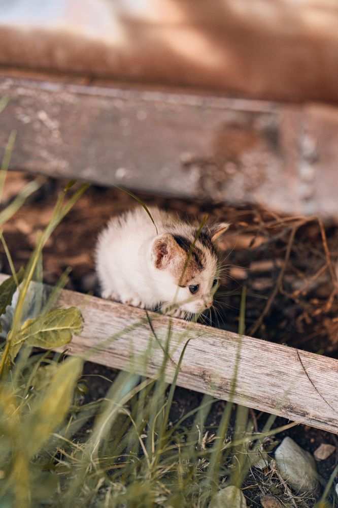 Photograph by Андрей Гусаров