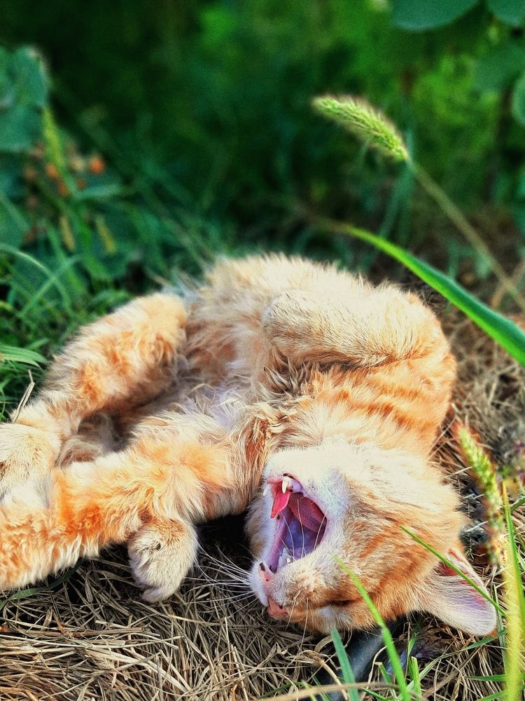 Photograph by Ольга