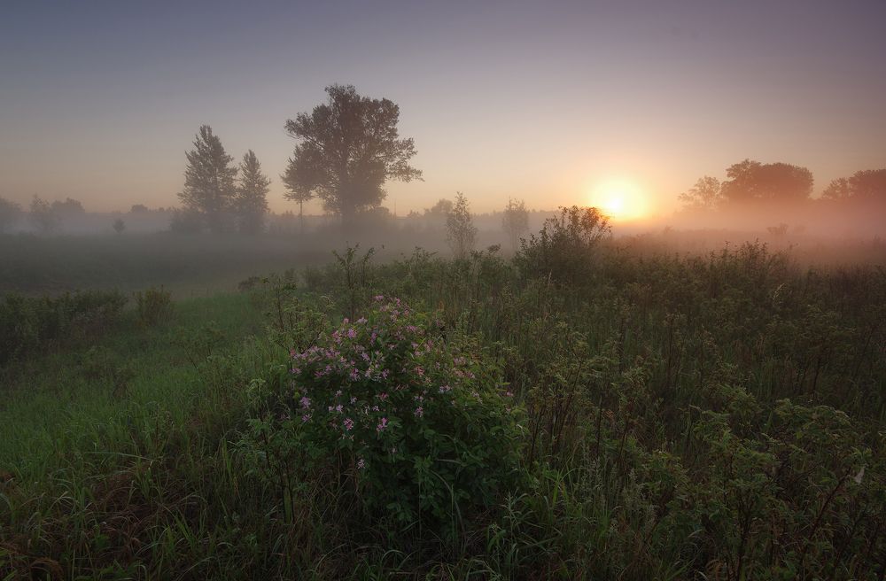 Photograph by Чичкин Валерий