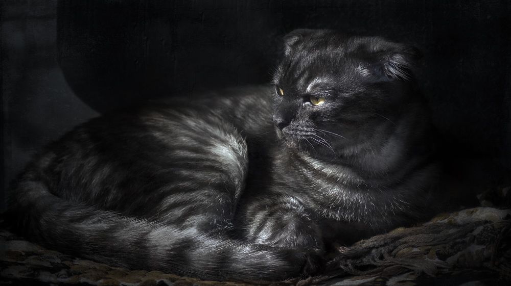 Photograph by Сушкевич Светлана