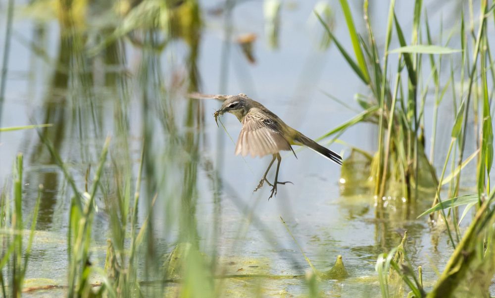 Photograph by Михаил Зубарев