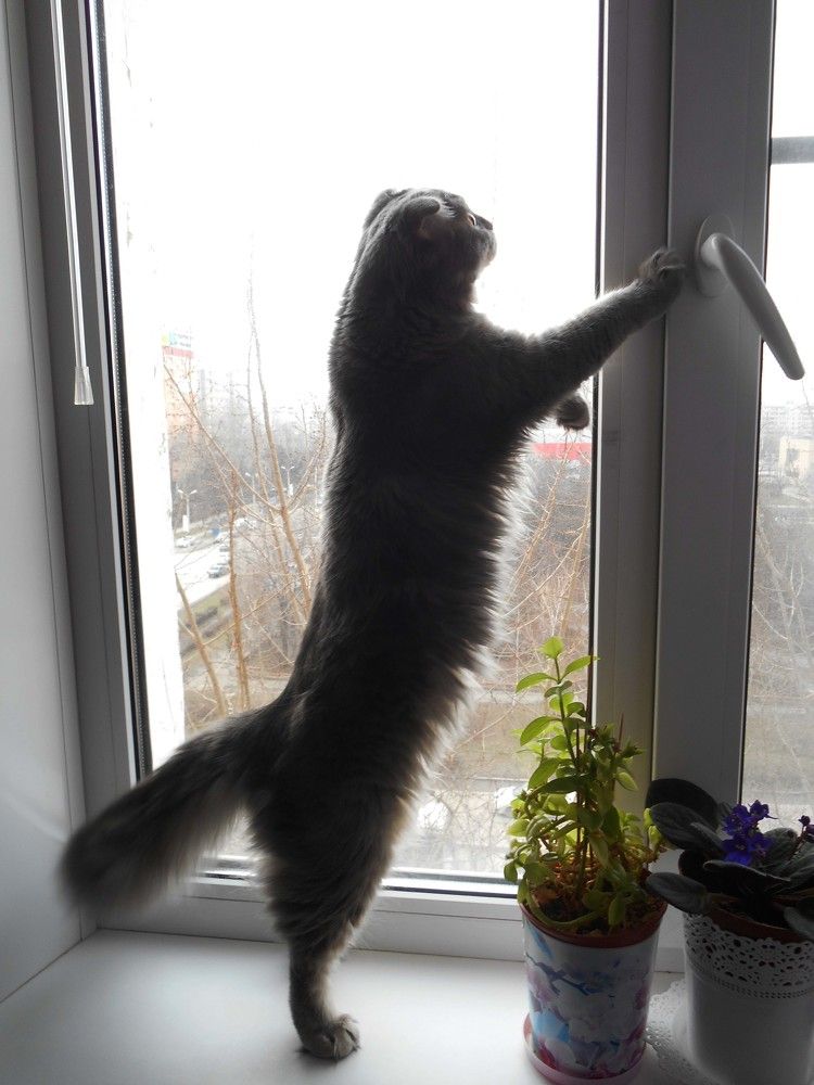 Photograph by Дарья Колесниченко