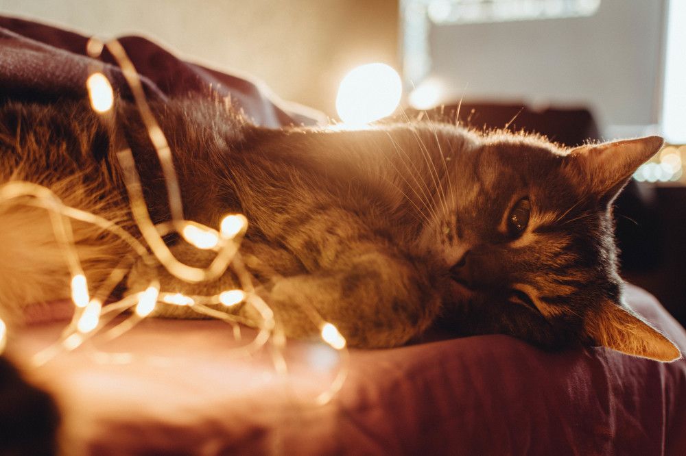 Photograph by Андрей Гусаров