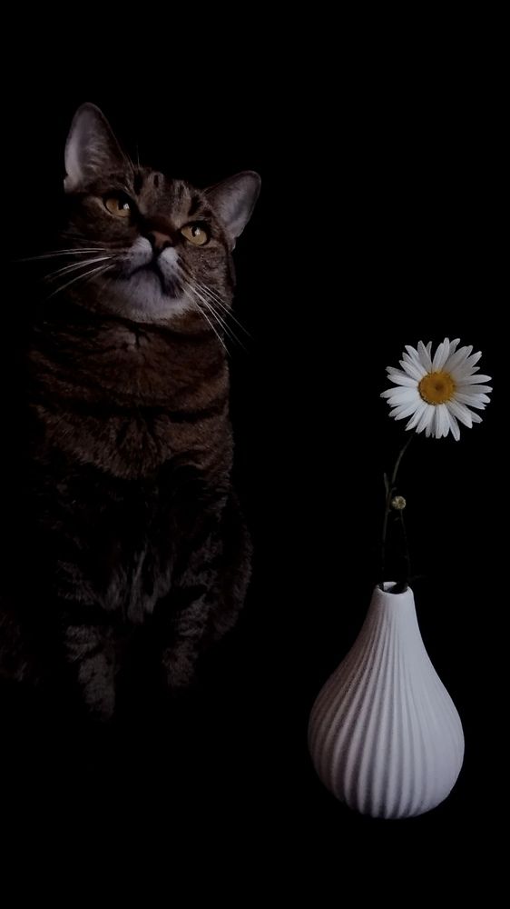 Photograph by Iya Dirko