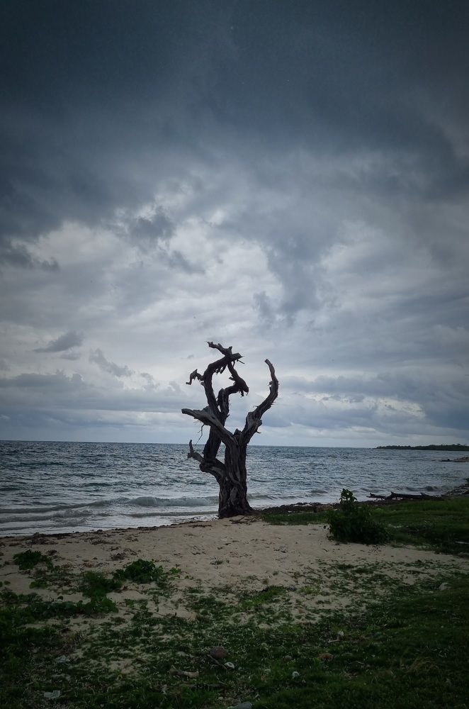 Photograph by Renata Sirazitdinova