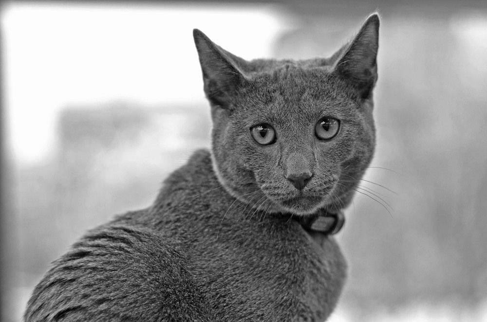 Фотография автора Владимир Брызгунов