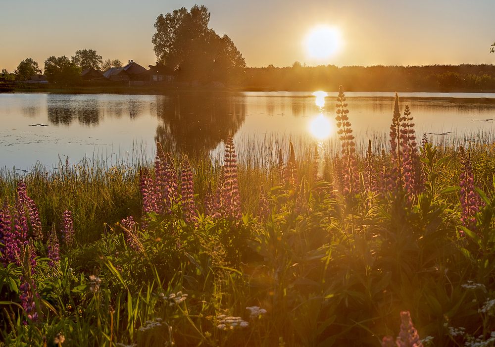 Photograph by Светлана Ващенко