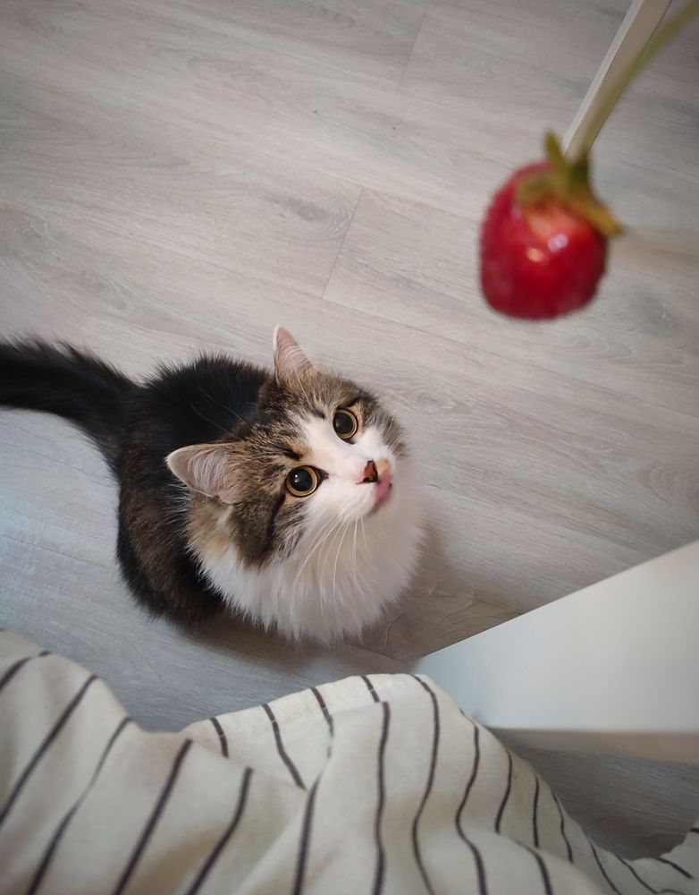 Photograph by Марина