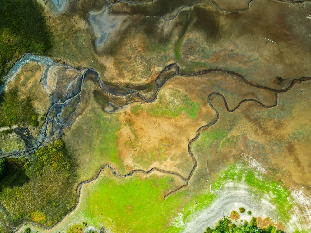 Photograph by Евгений Цапенко