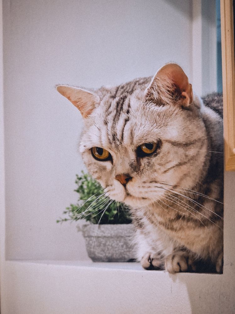 Photograph by Liudmila Kirillova