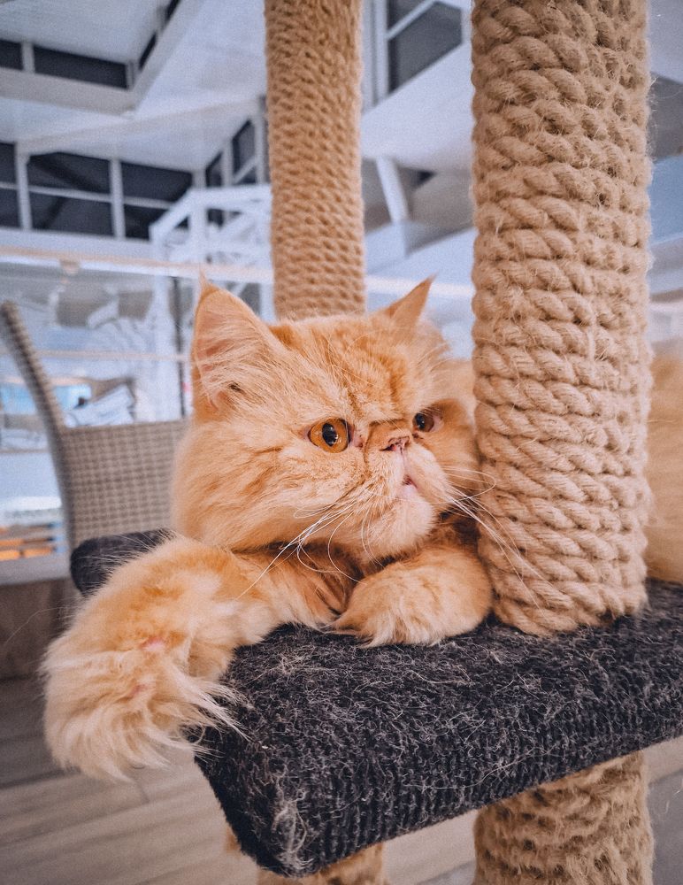 Photograph by Liudmila Kirillova