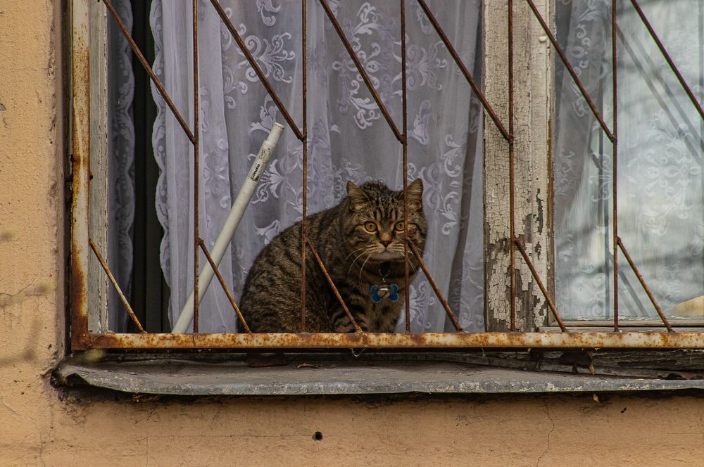 Photograph by Ирина Саломатина