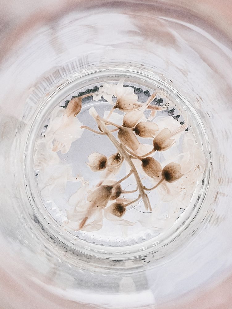 Photograph by Liudmila Kirillova