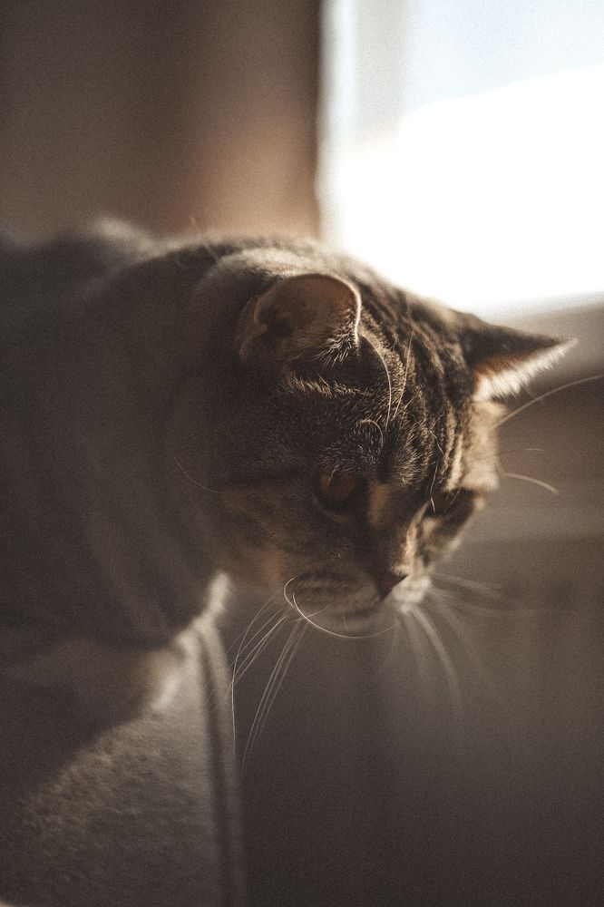 Фотография автора Екатерина Щетинина