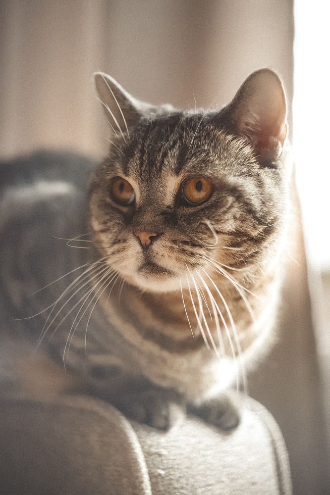 Фотография автора Екатерина Щетинина